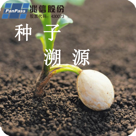 种子02.jpg