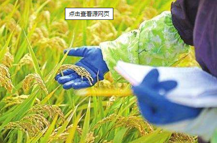 种植业育种追溯管理系统