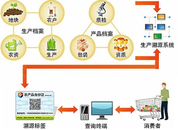 水稻种植可追溯系统